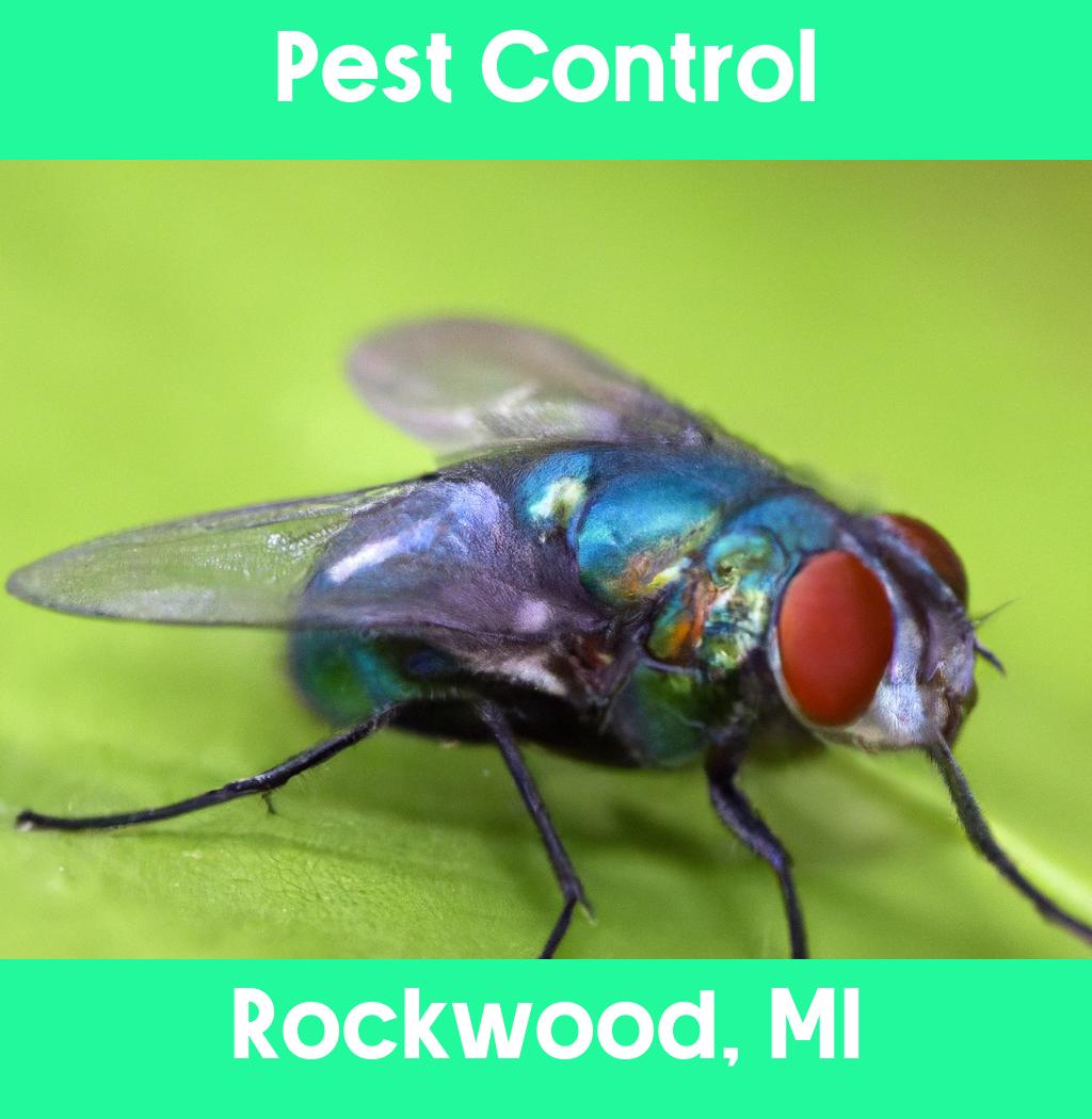 pest control in Rockwood Michigan