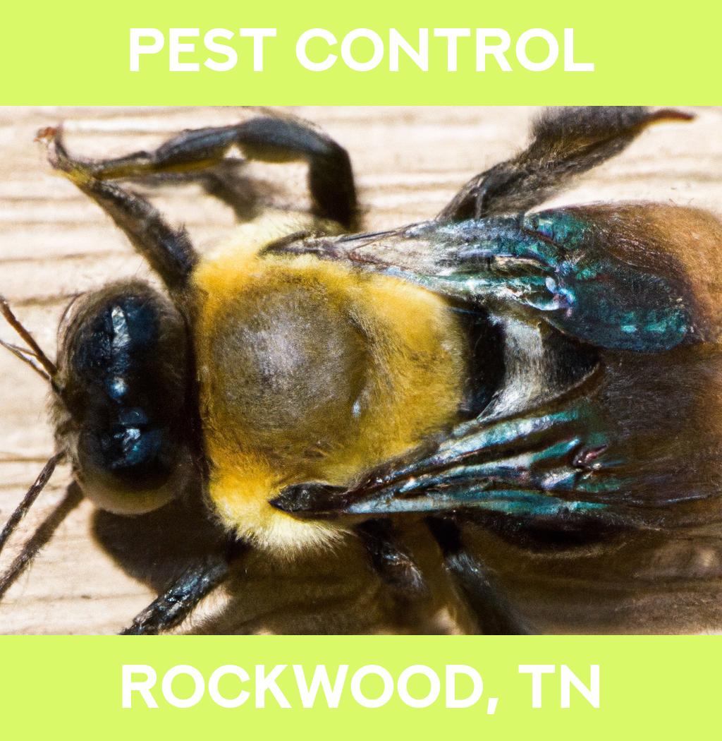 pest control in Rockwood Tennessee