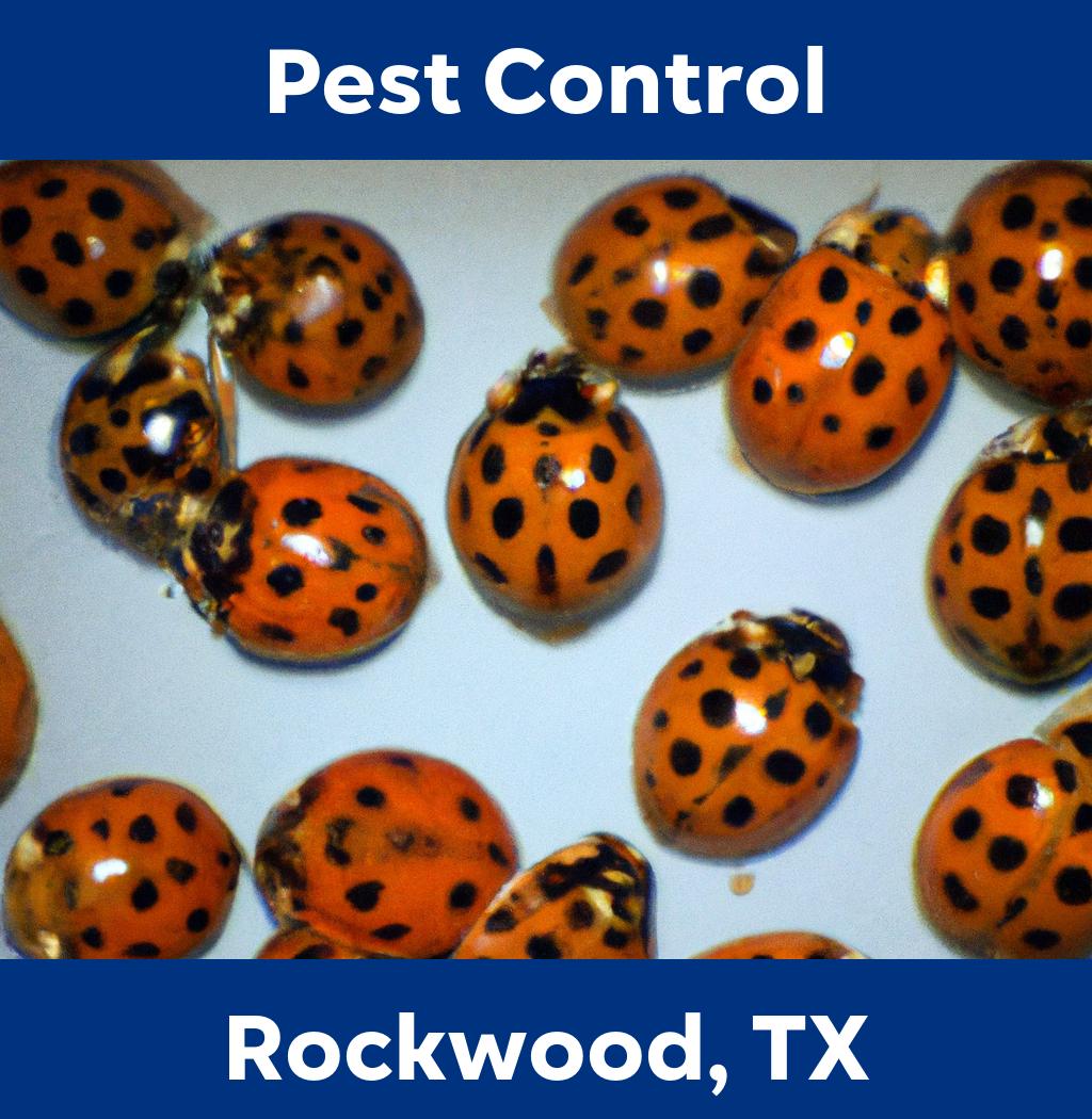pest control in Rockwood Texas