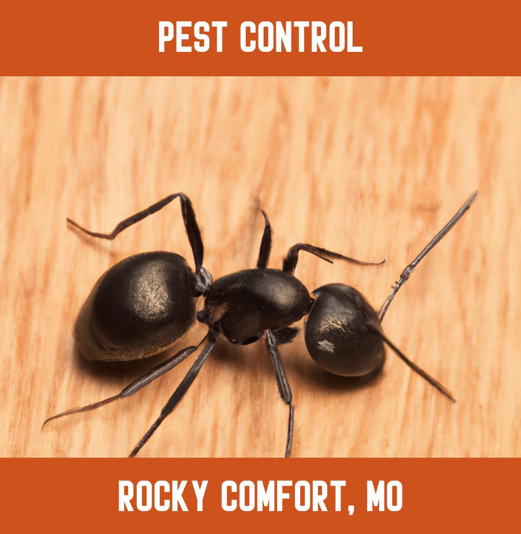 pest control in Rocky Comfort Missouri