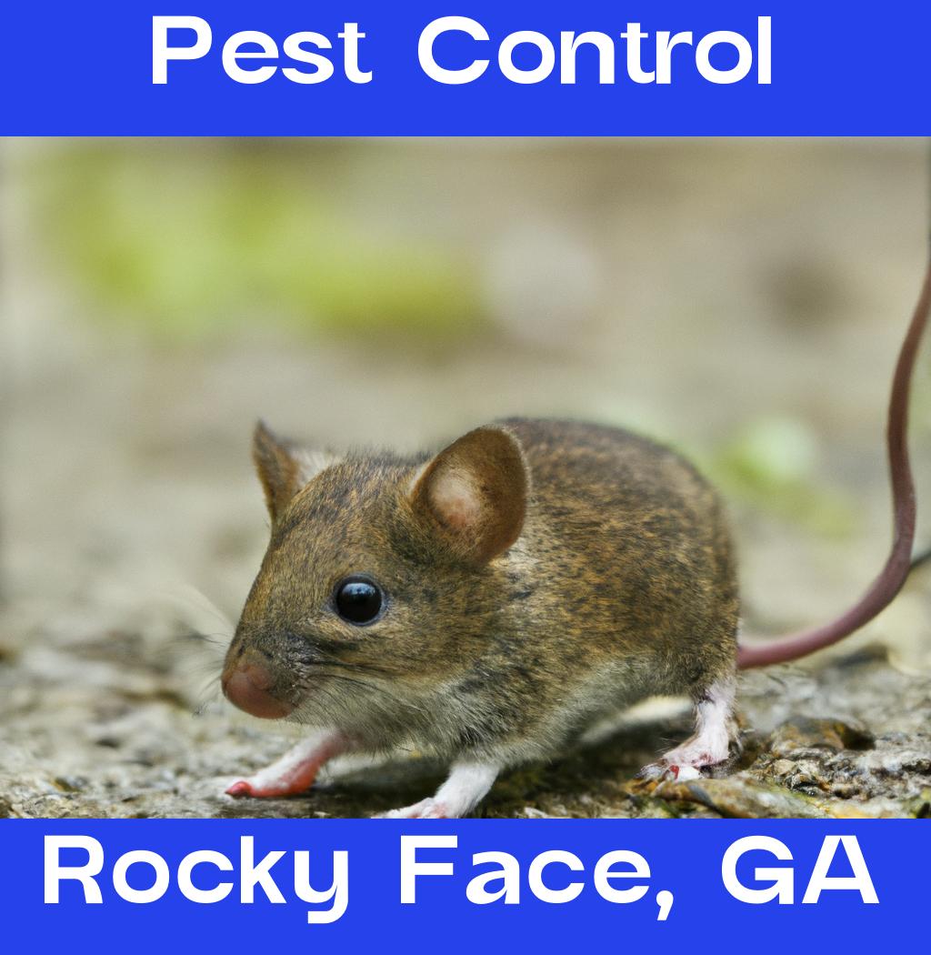 pest control in Rocky Face Georgia