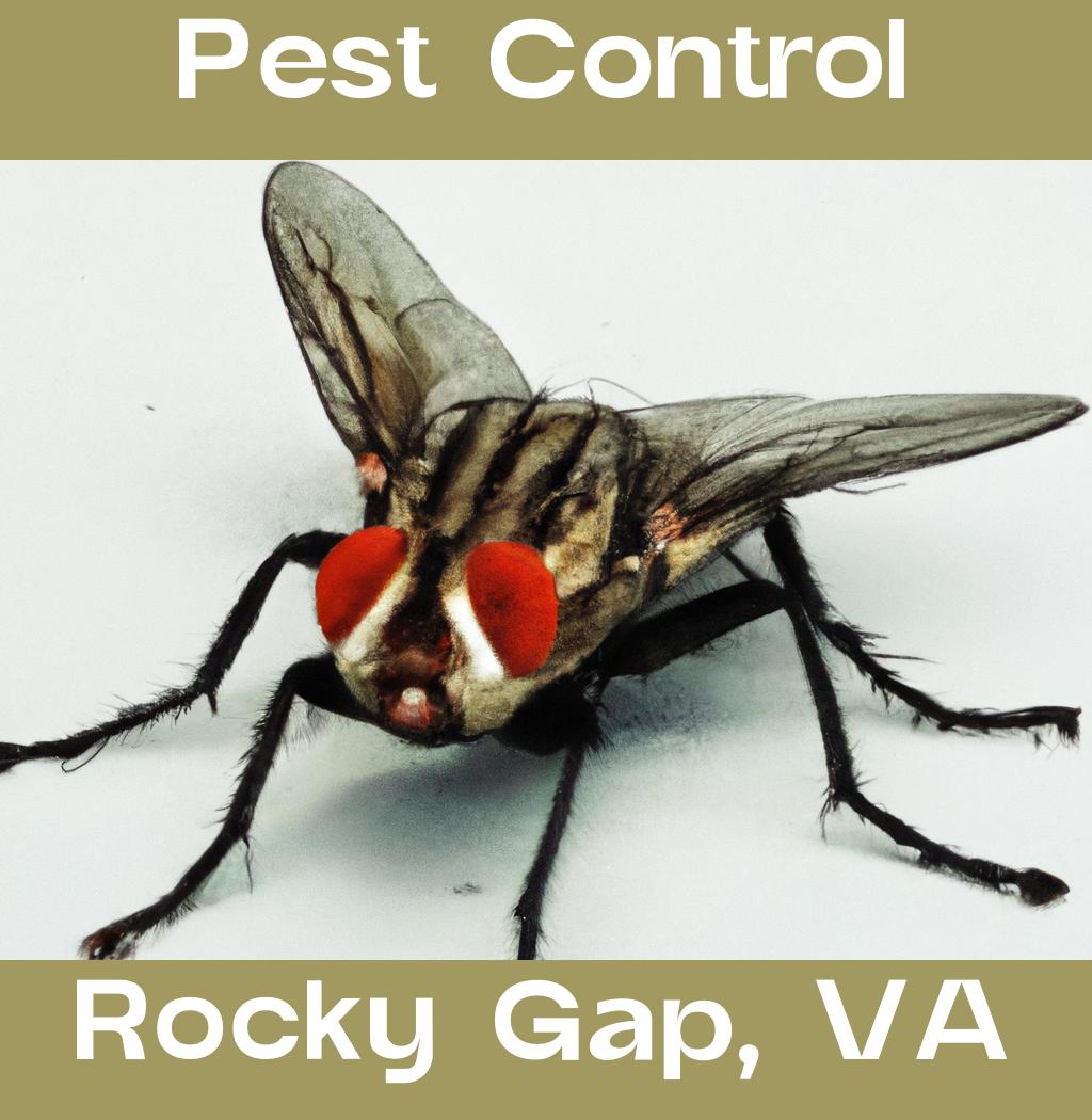 pest control in Rocky Gap Virginia