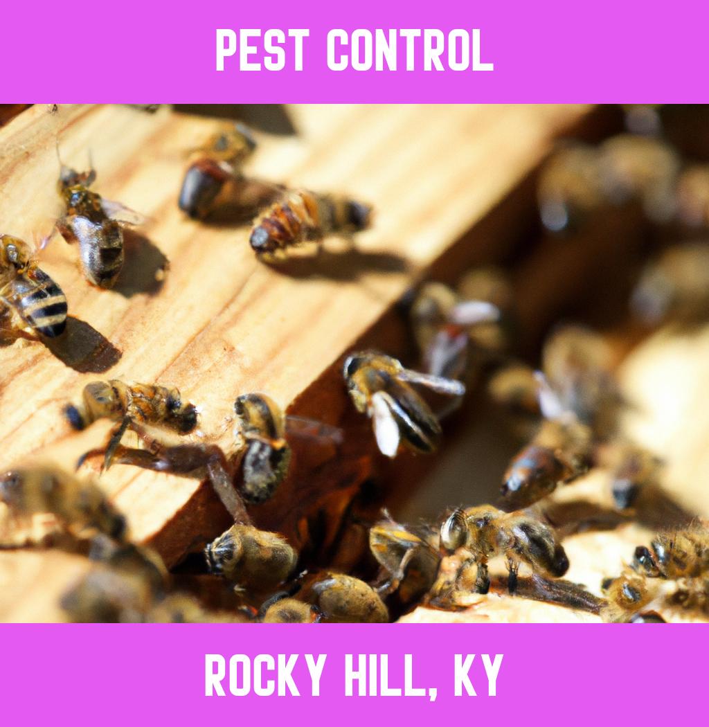 pest control in Rocky Hill Kentucky