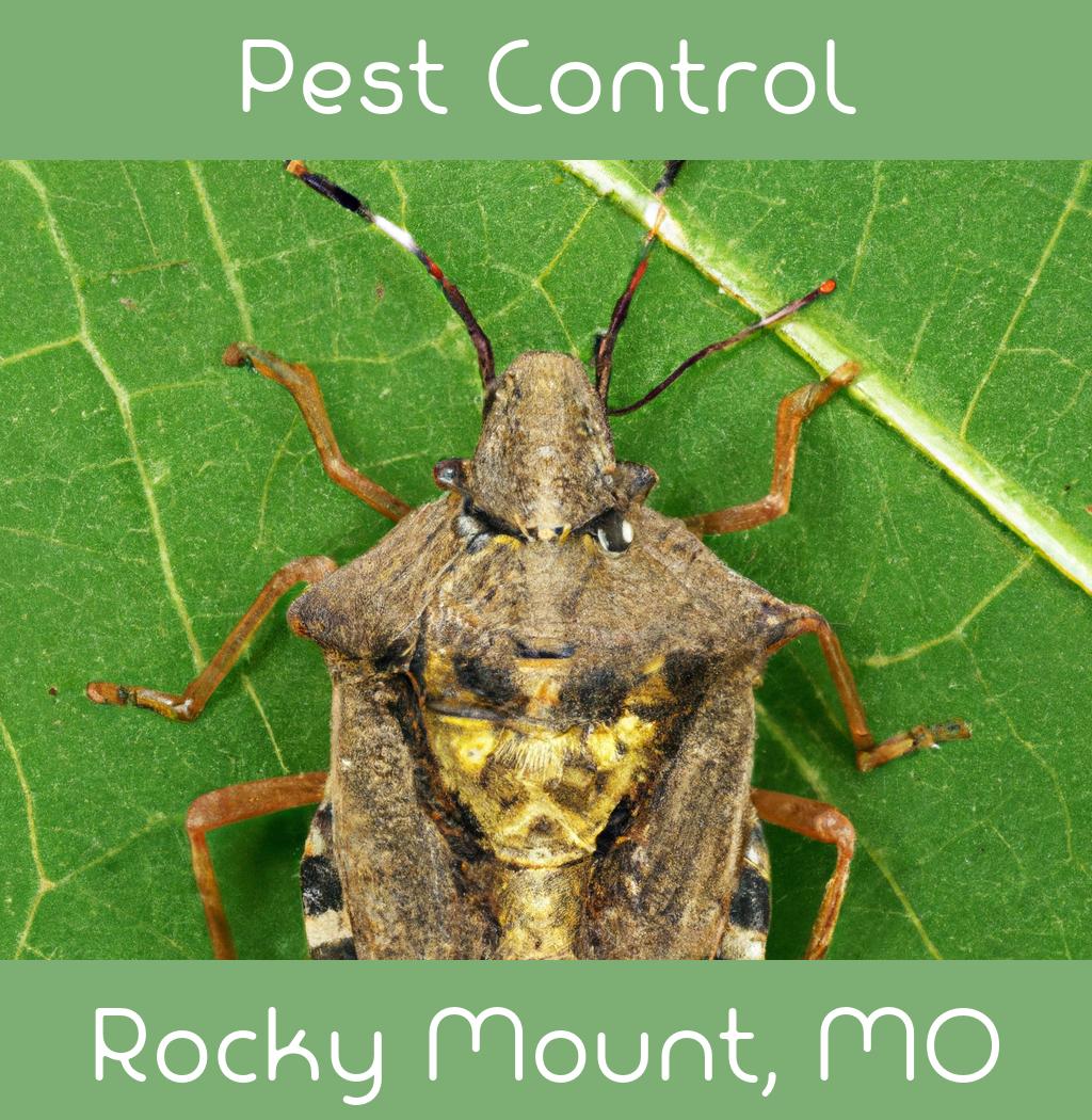 pest control in Rocky Mount Missouri