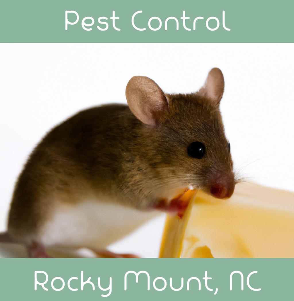 pest control in Rocky Mount North Carolina