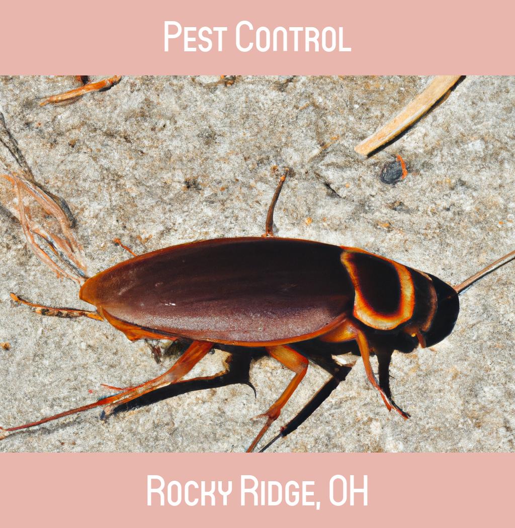 pest control in Rocky Ridge Ohio