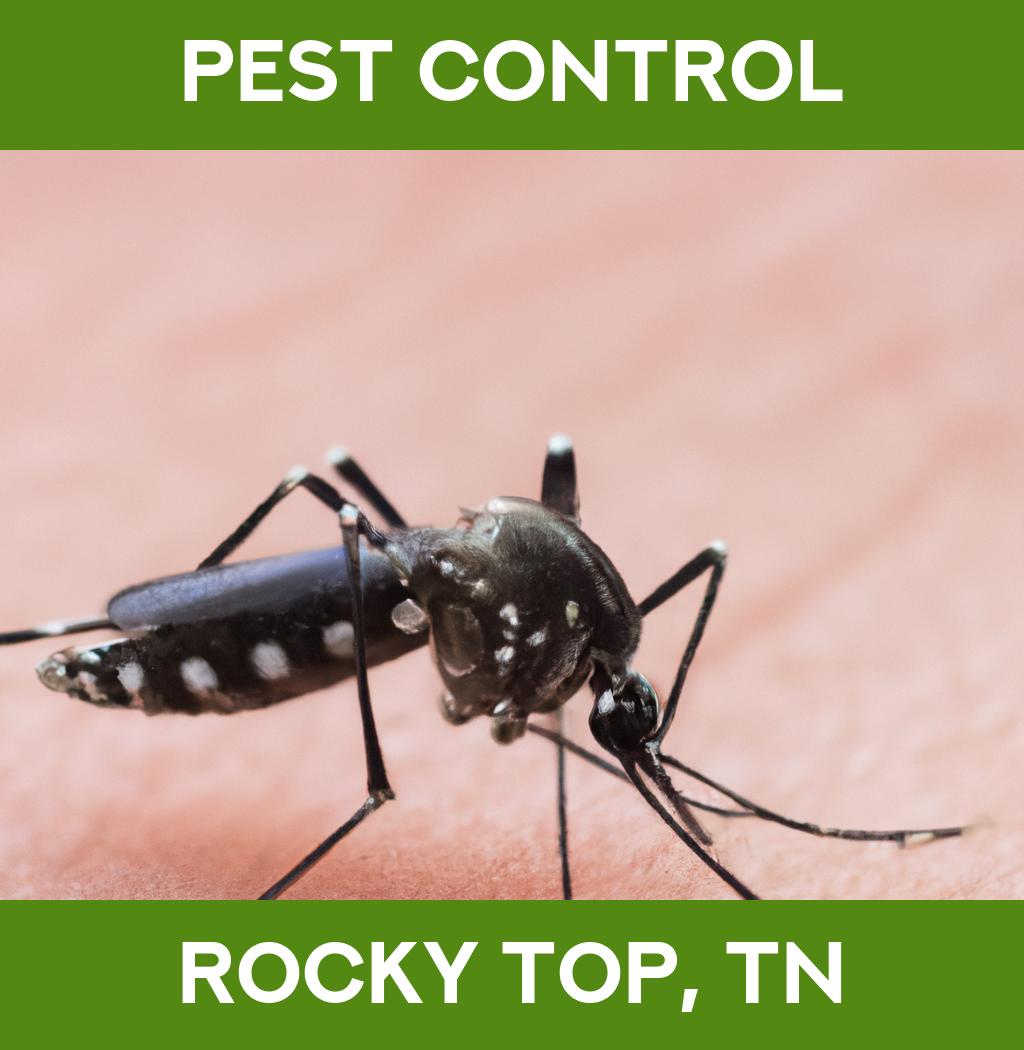 pest control in Rocky Top Tennessee