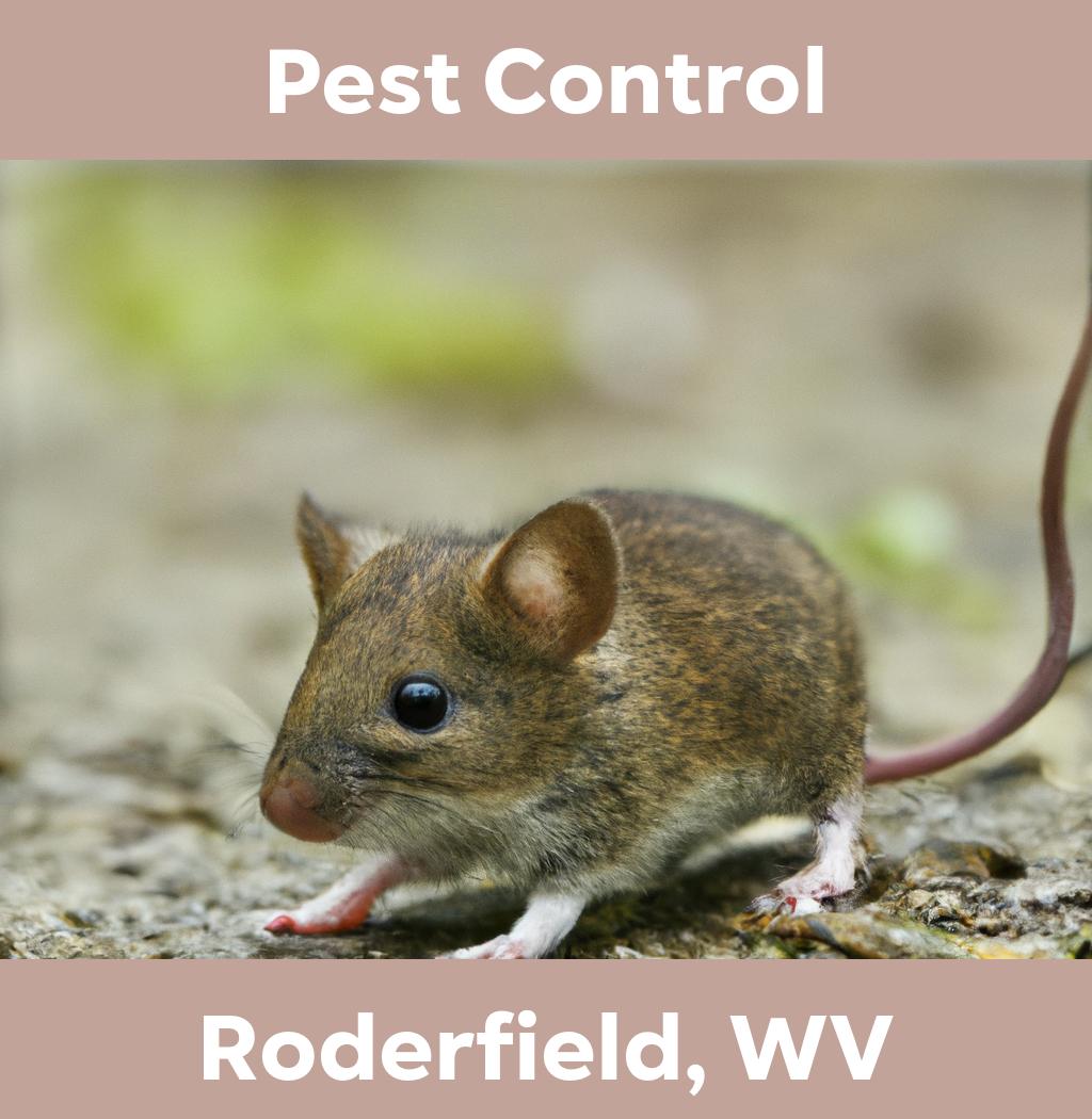 pest control in Roderfield West Virginia
