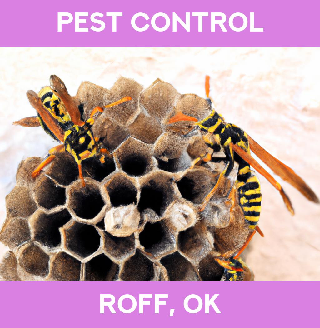 pest control in Roff Oklahoma