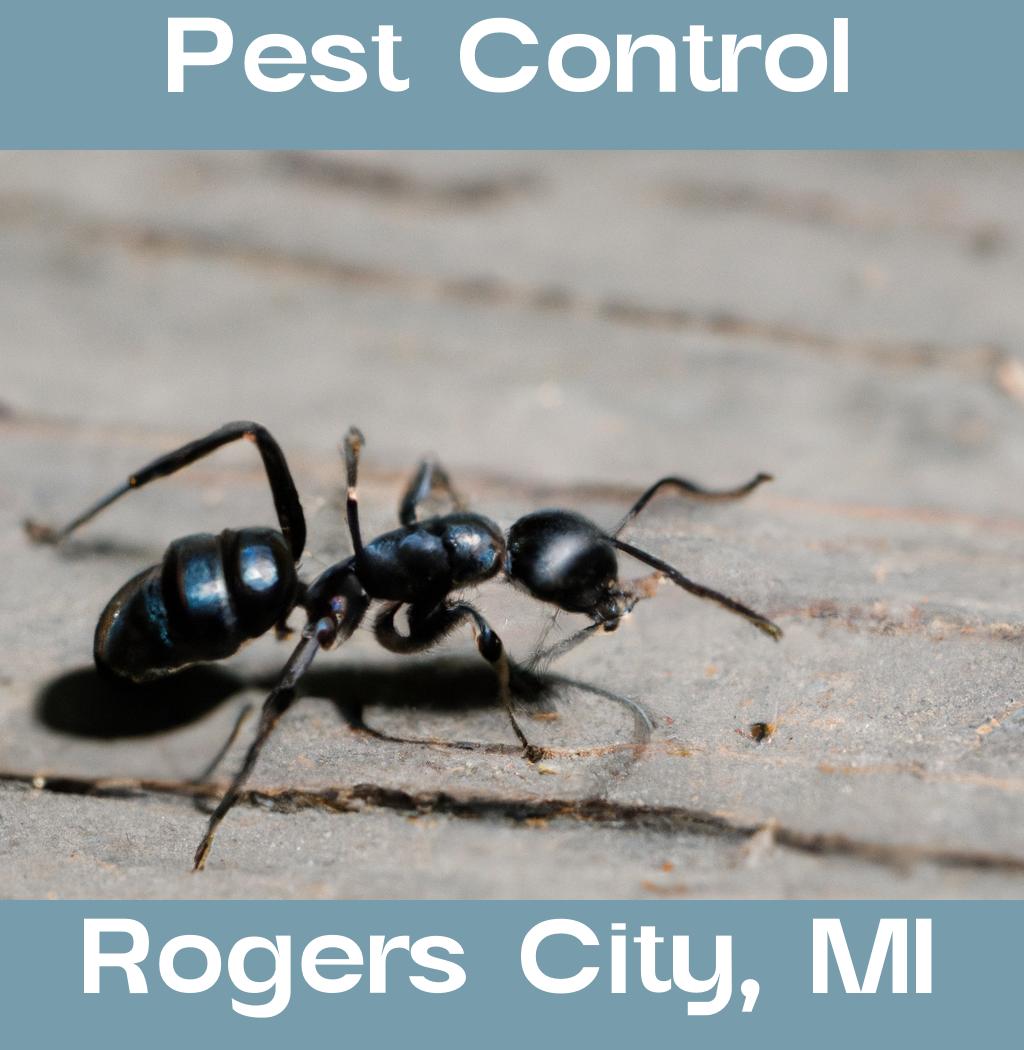 pest control in Rogers City Michigan