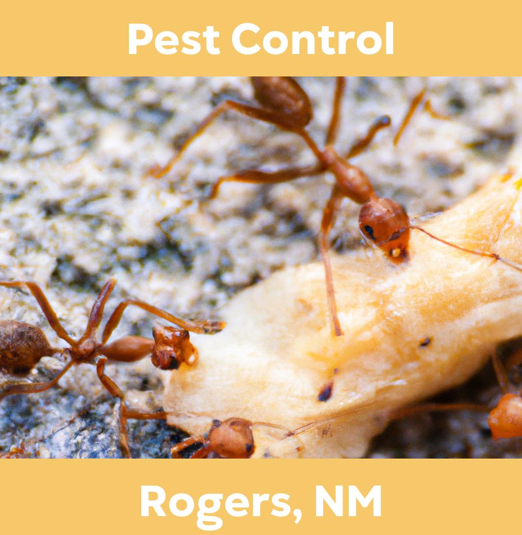 pest control in Rogers New Mexico