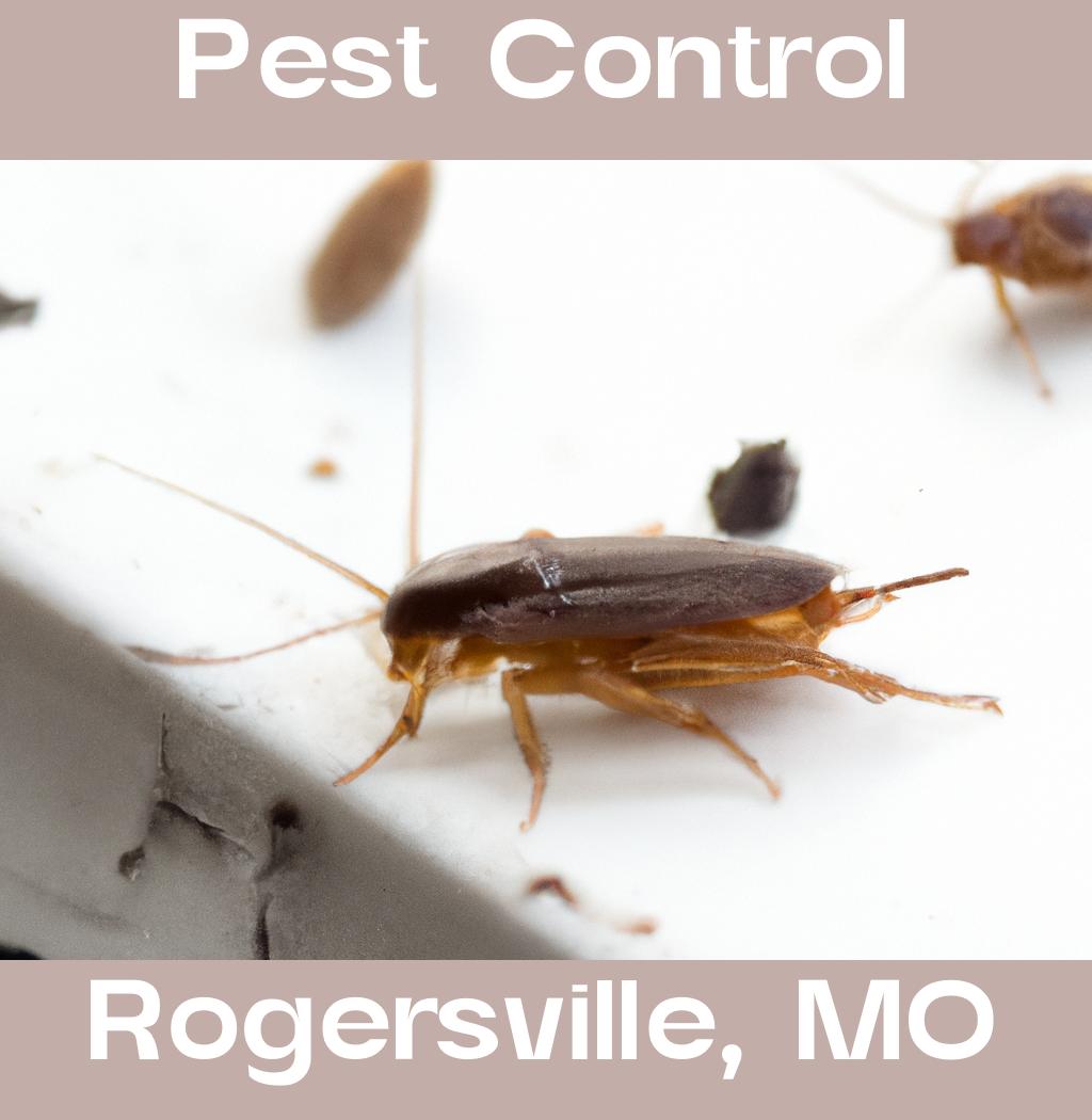 pest control in Rogersville Missouri