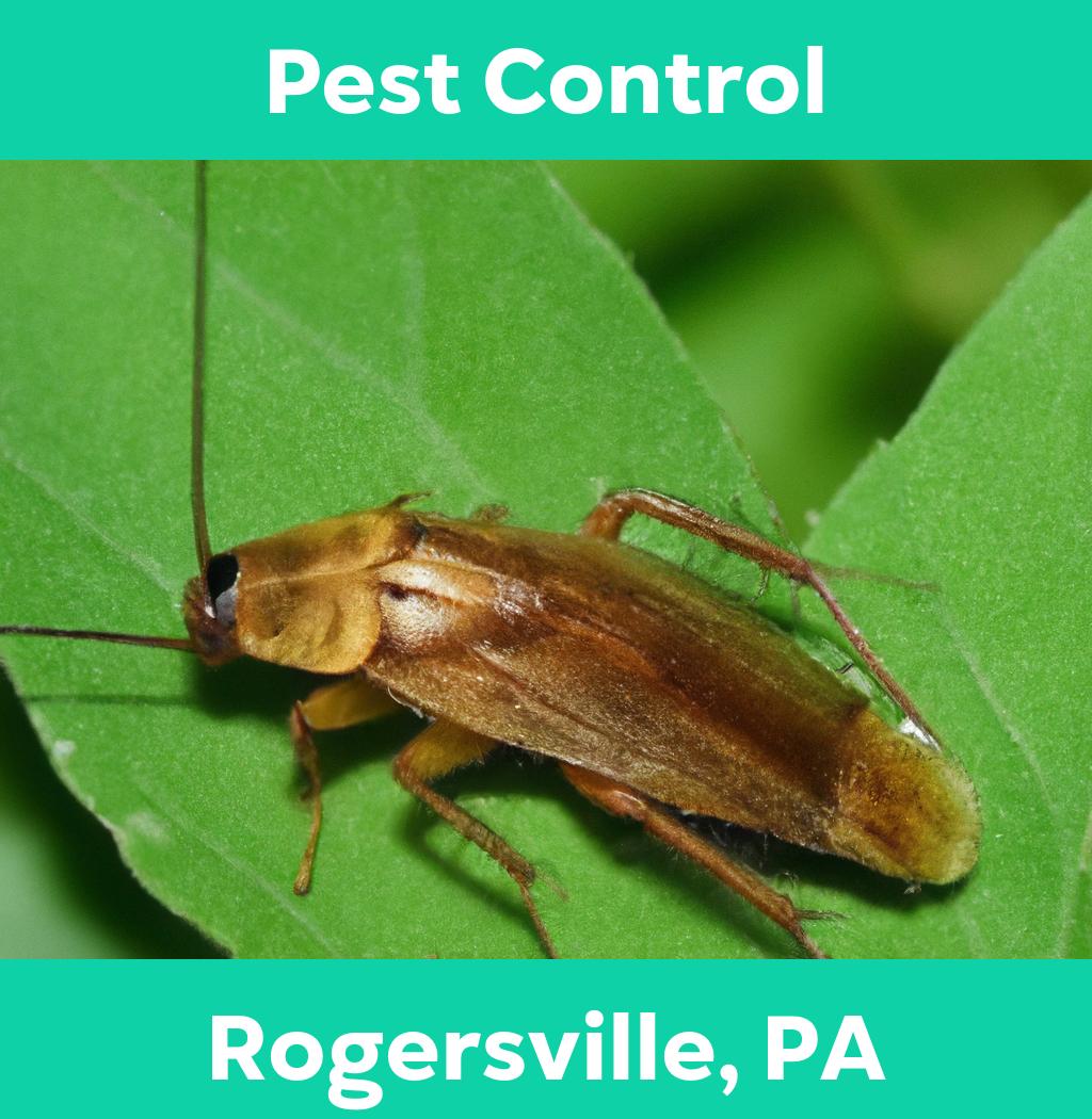 pest control in Rogersville Pennsylvania