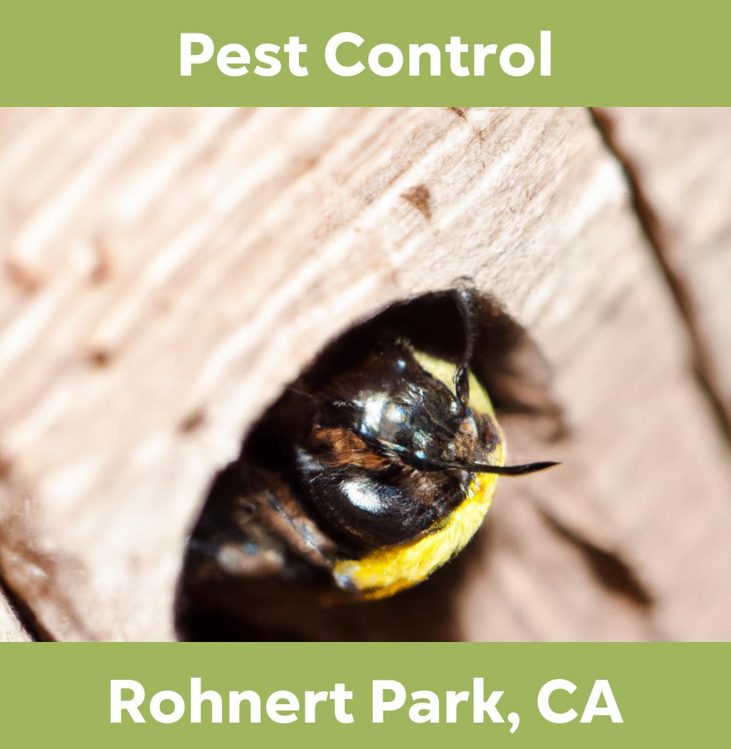pest control in Rohnert Park California
