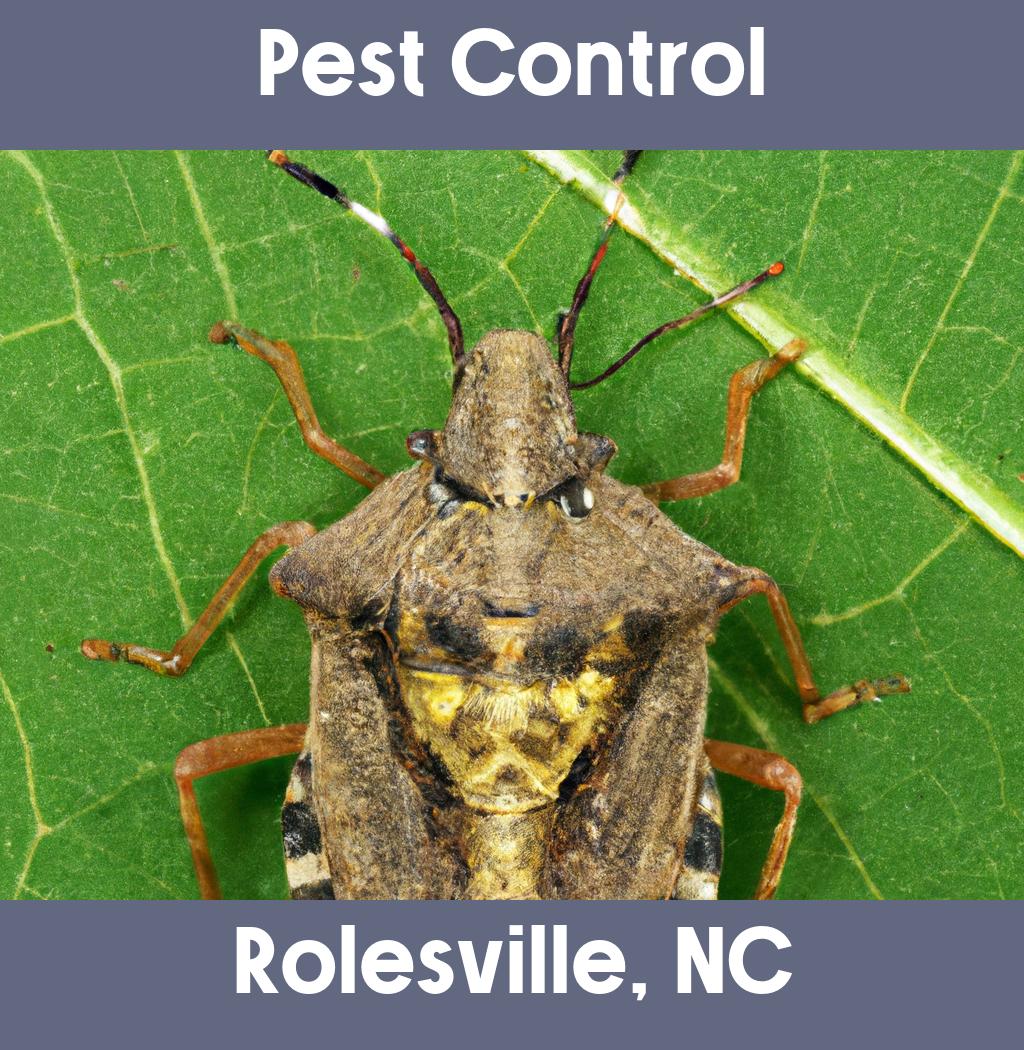 pest control in Rolesville North Carolina