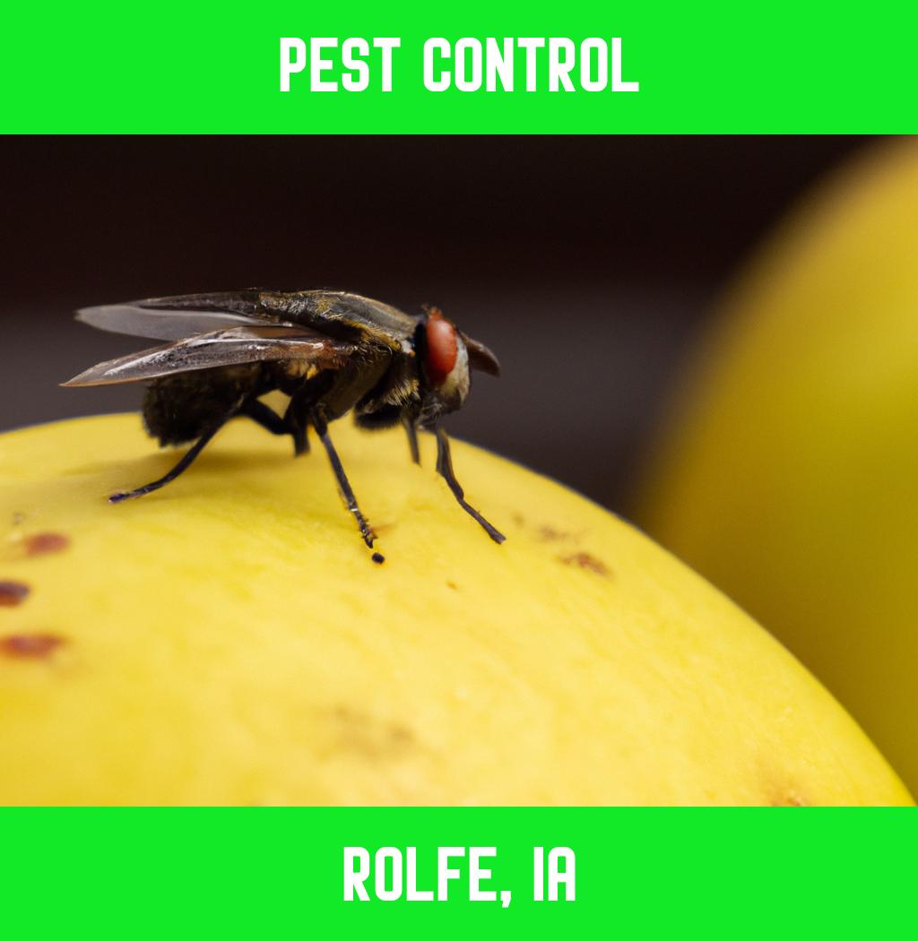 pest control in Rolfe Iowa
