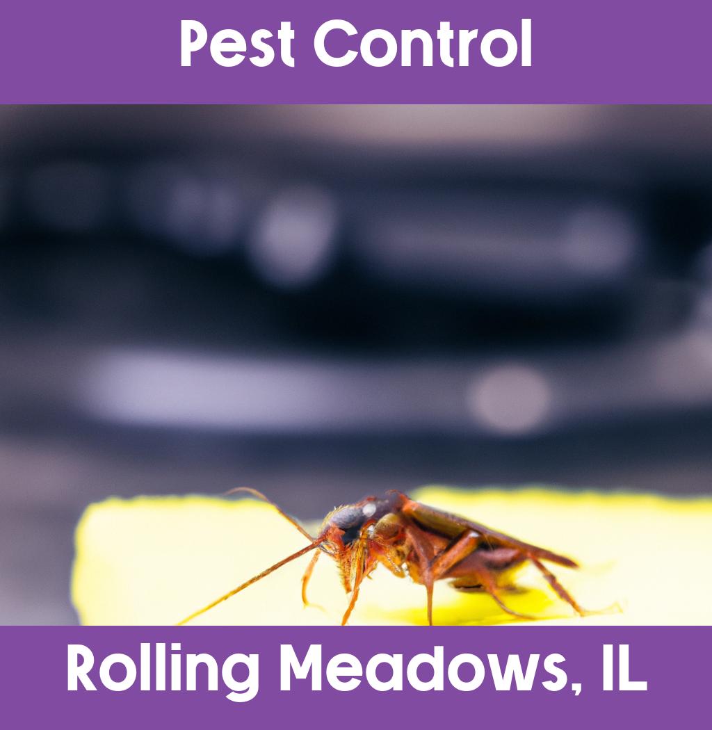 pest control in Rolling Meadows Illinois