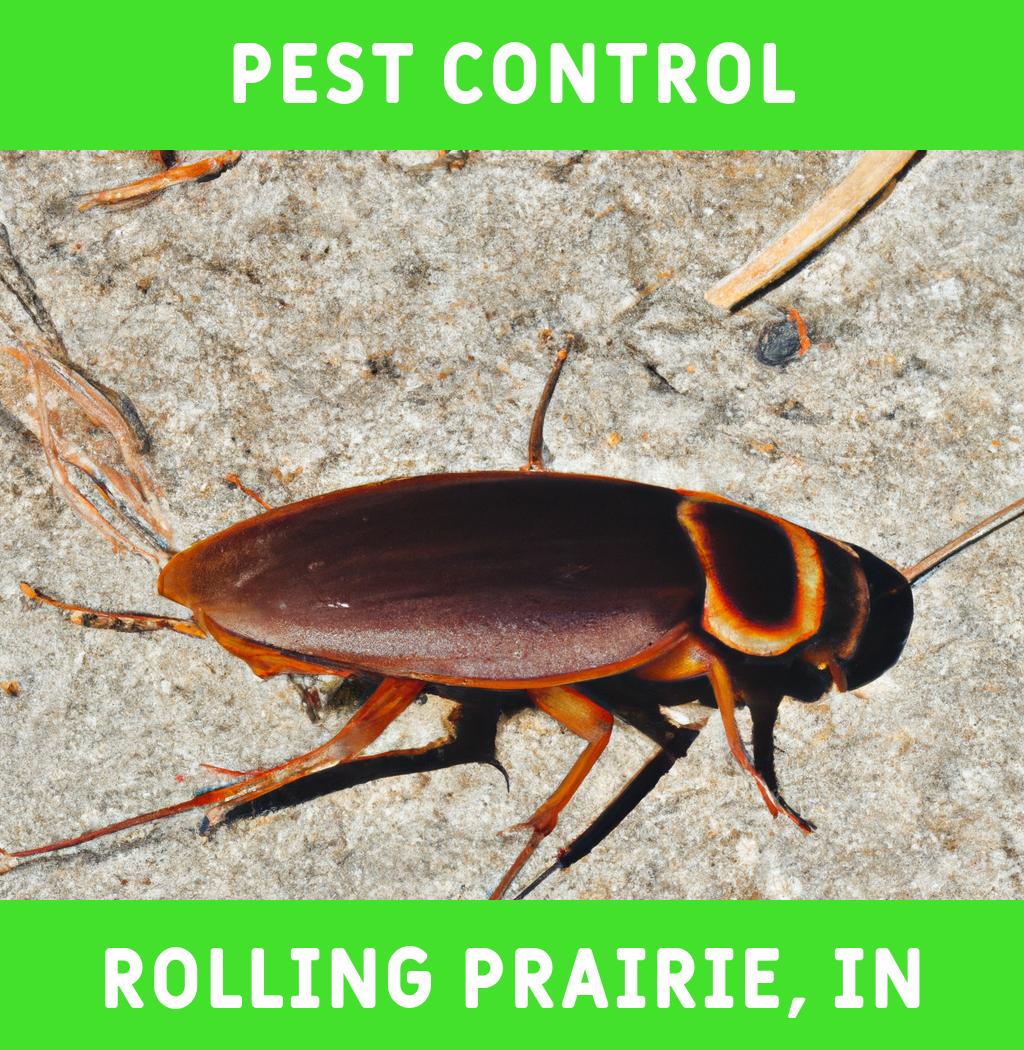 pest control in Rolling Prairie Indiana