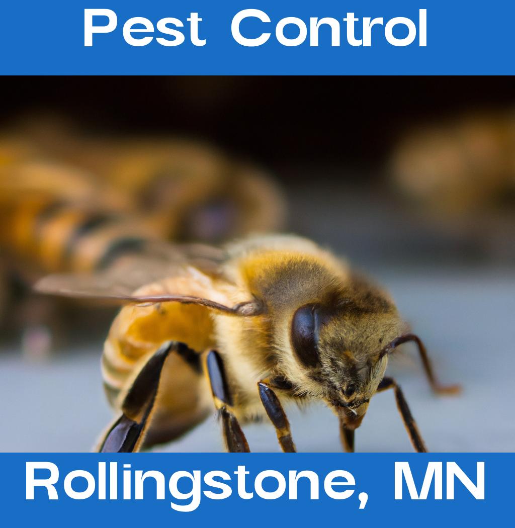 pest control in Rollingstone Minnesota