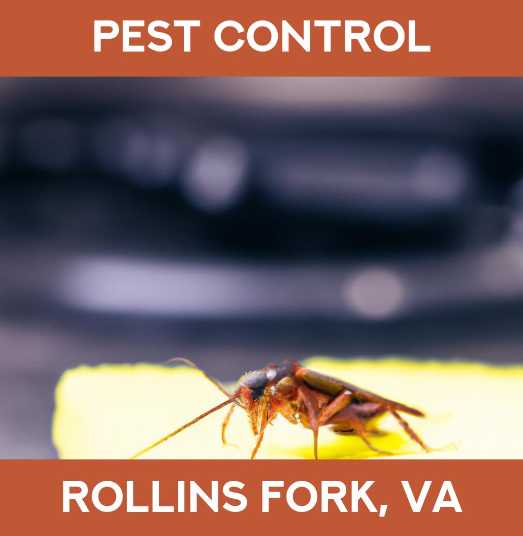 pest control in Rollins Fork Virginia