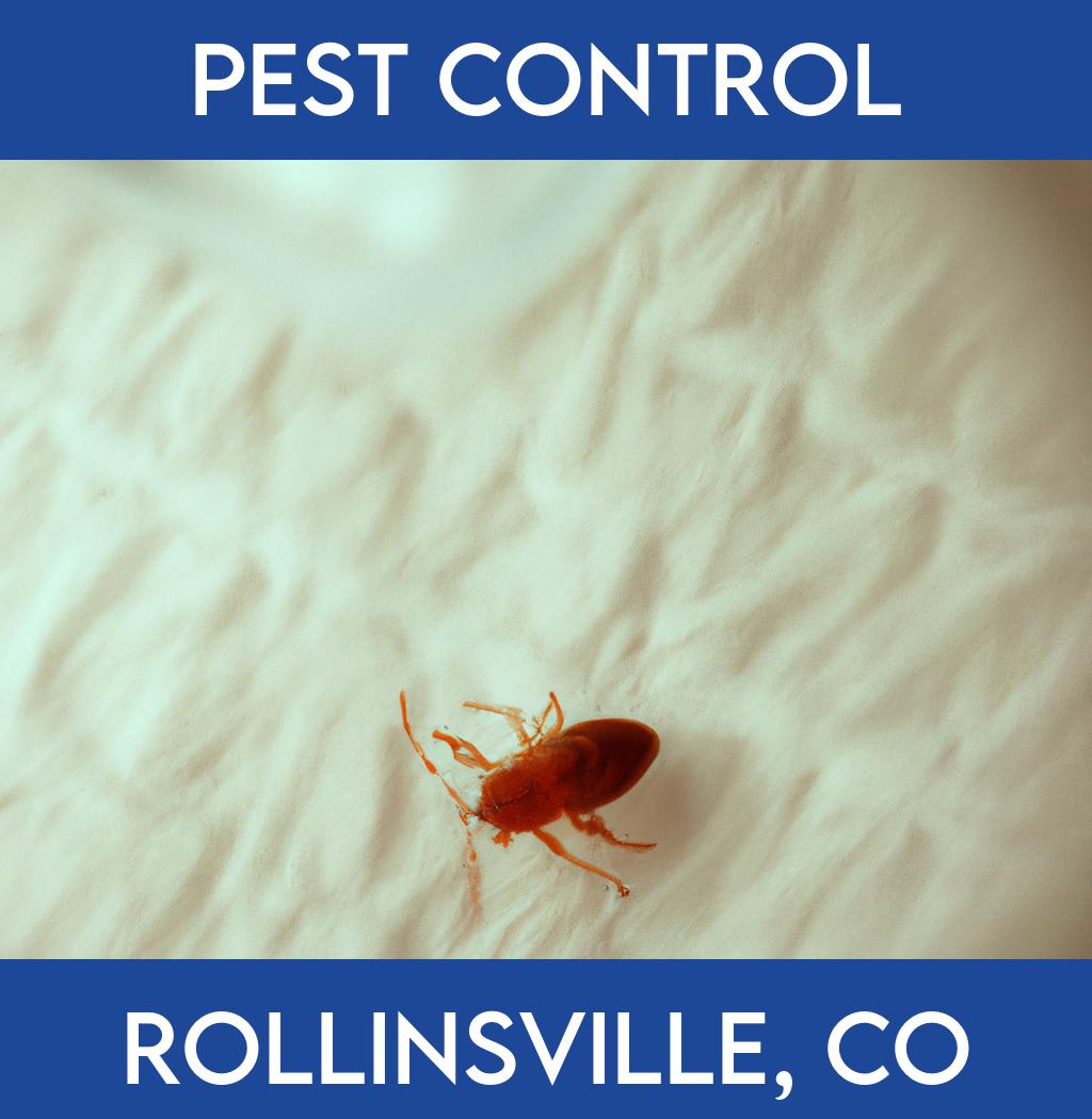 pest control in Rollinsville Colorado