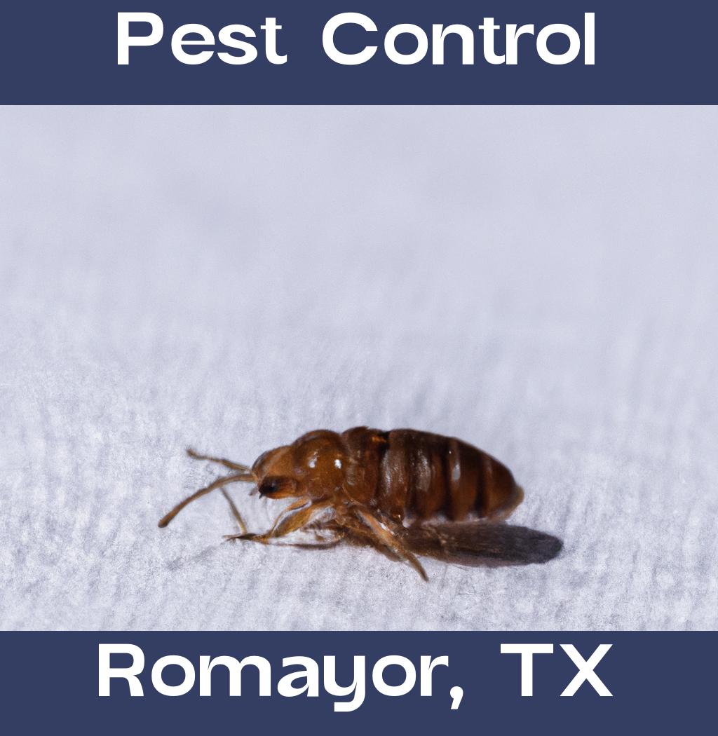 pest control in Romayor Texas