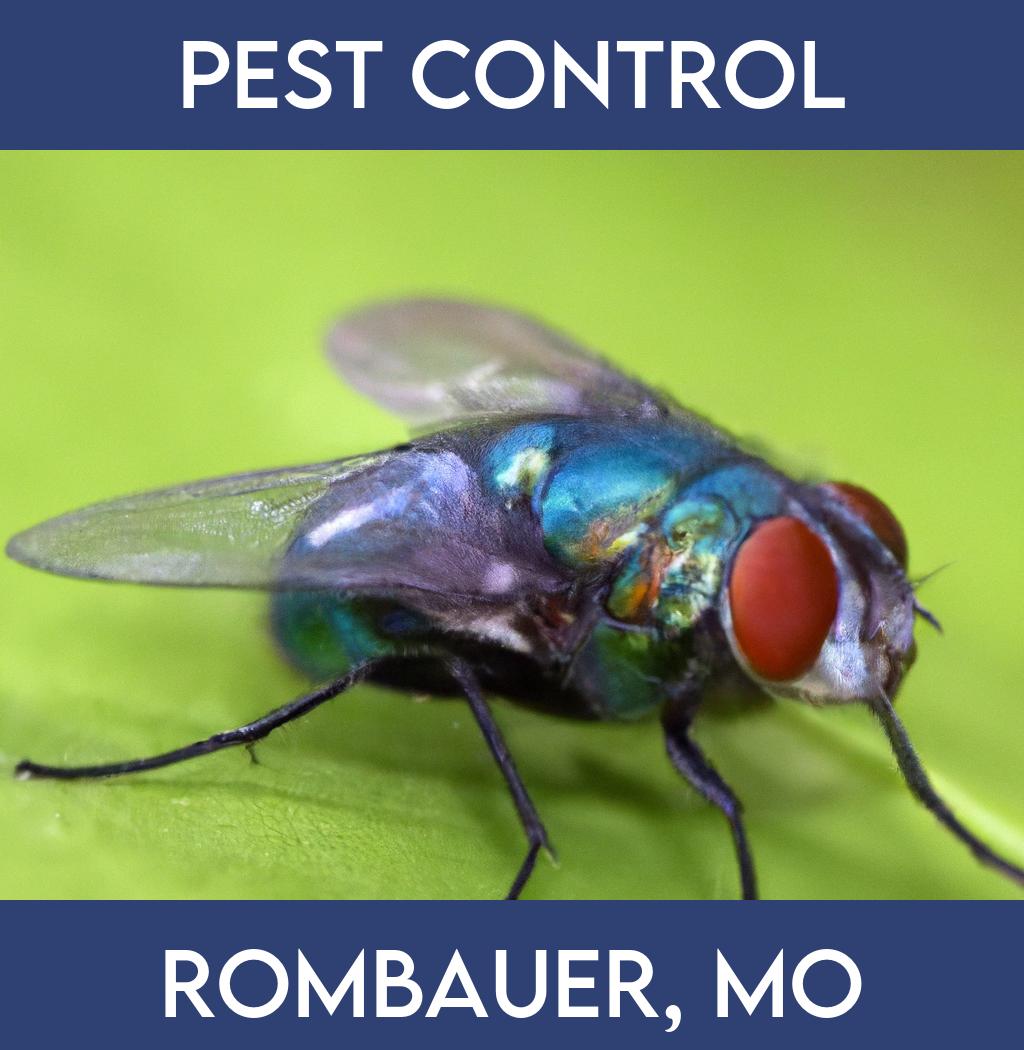 pest control in Rombauer Missouri
