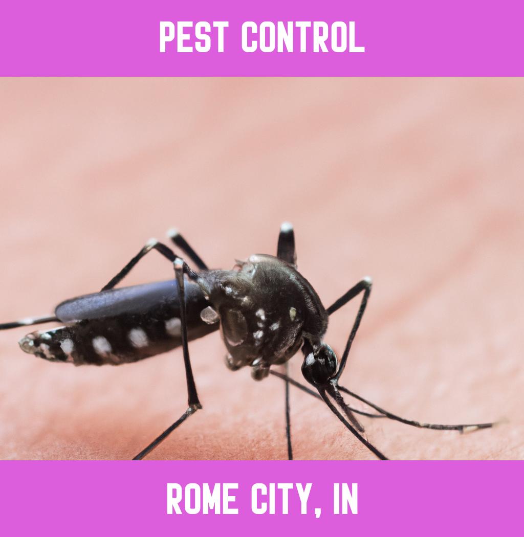 pest control in Rome City Indiana