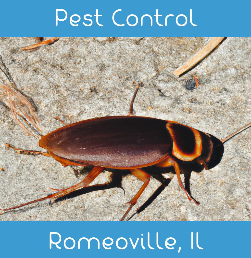 pest control in Romeoville Illinois