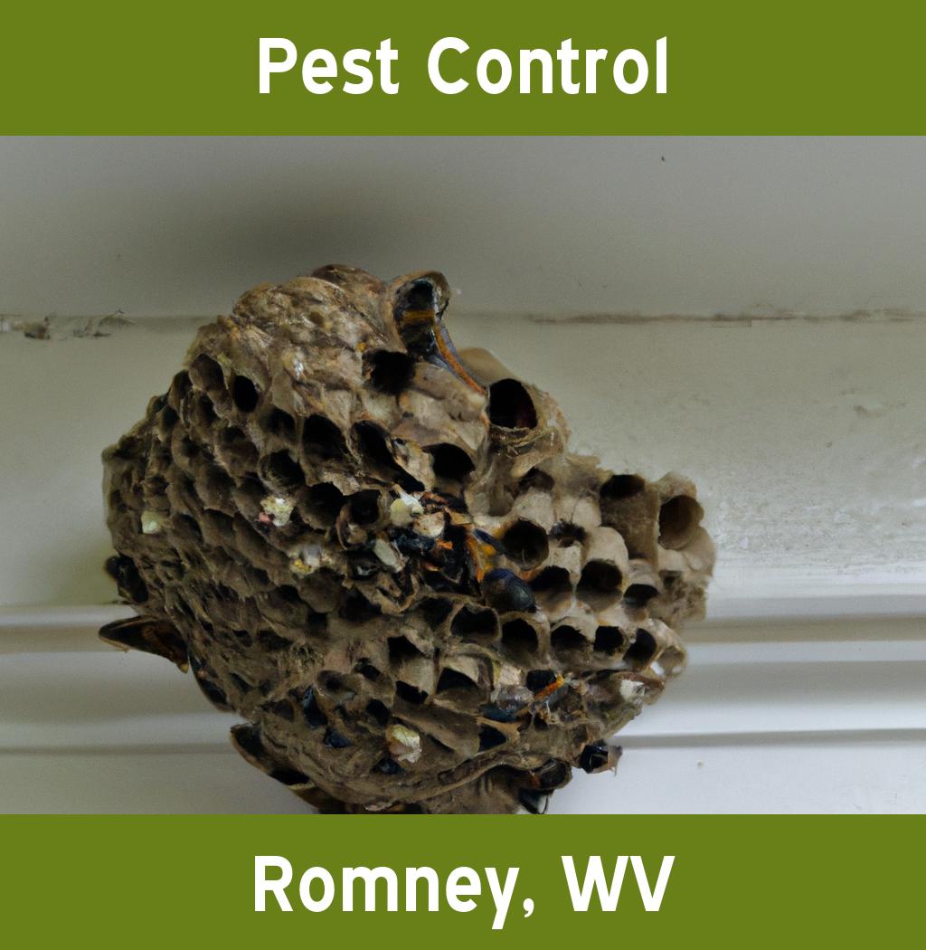 pest control in Romney West Virginia