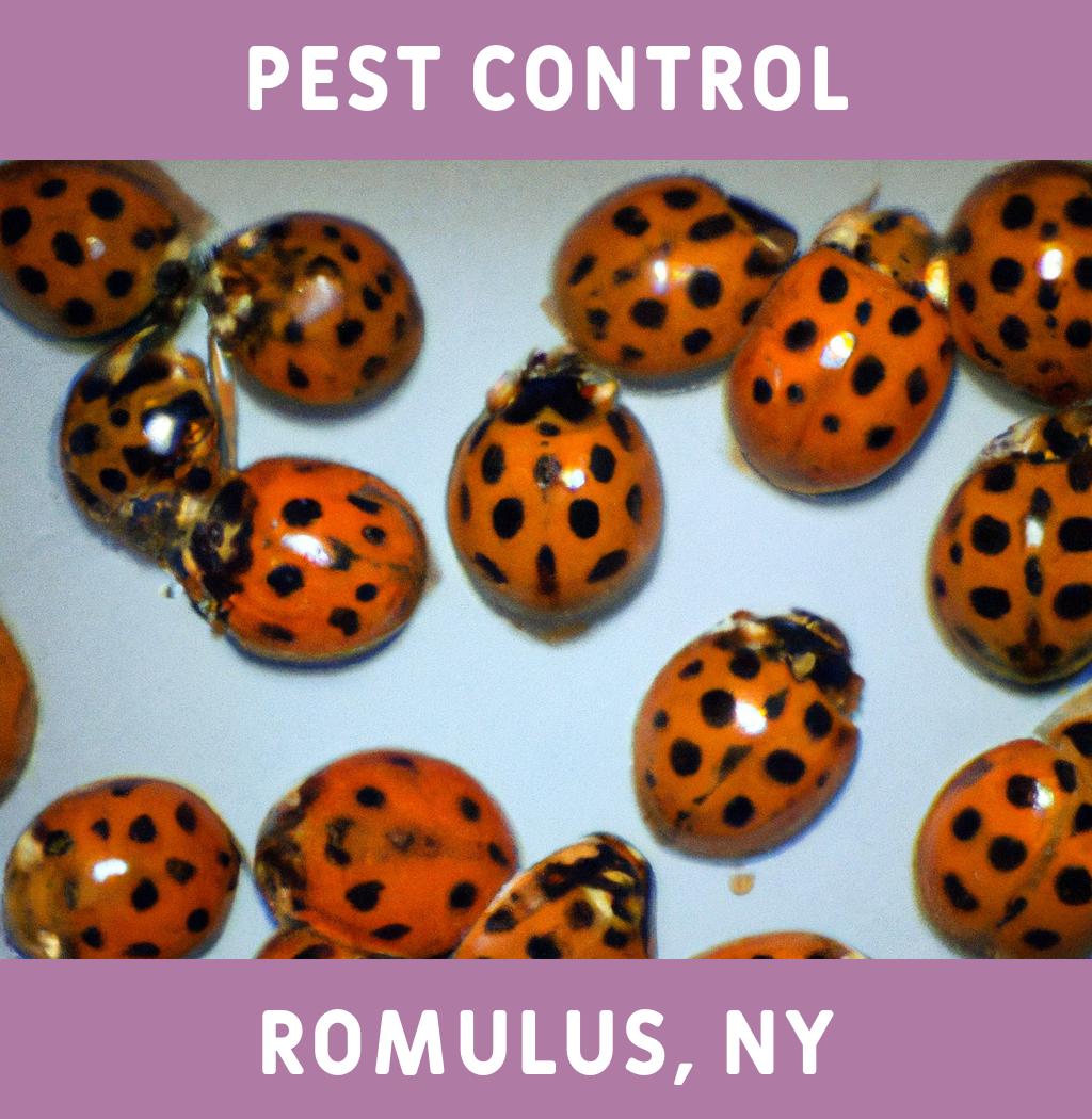 pest control in Romulus New York