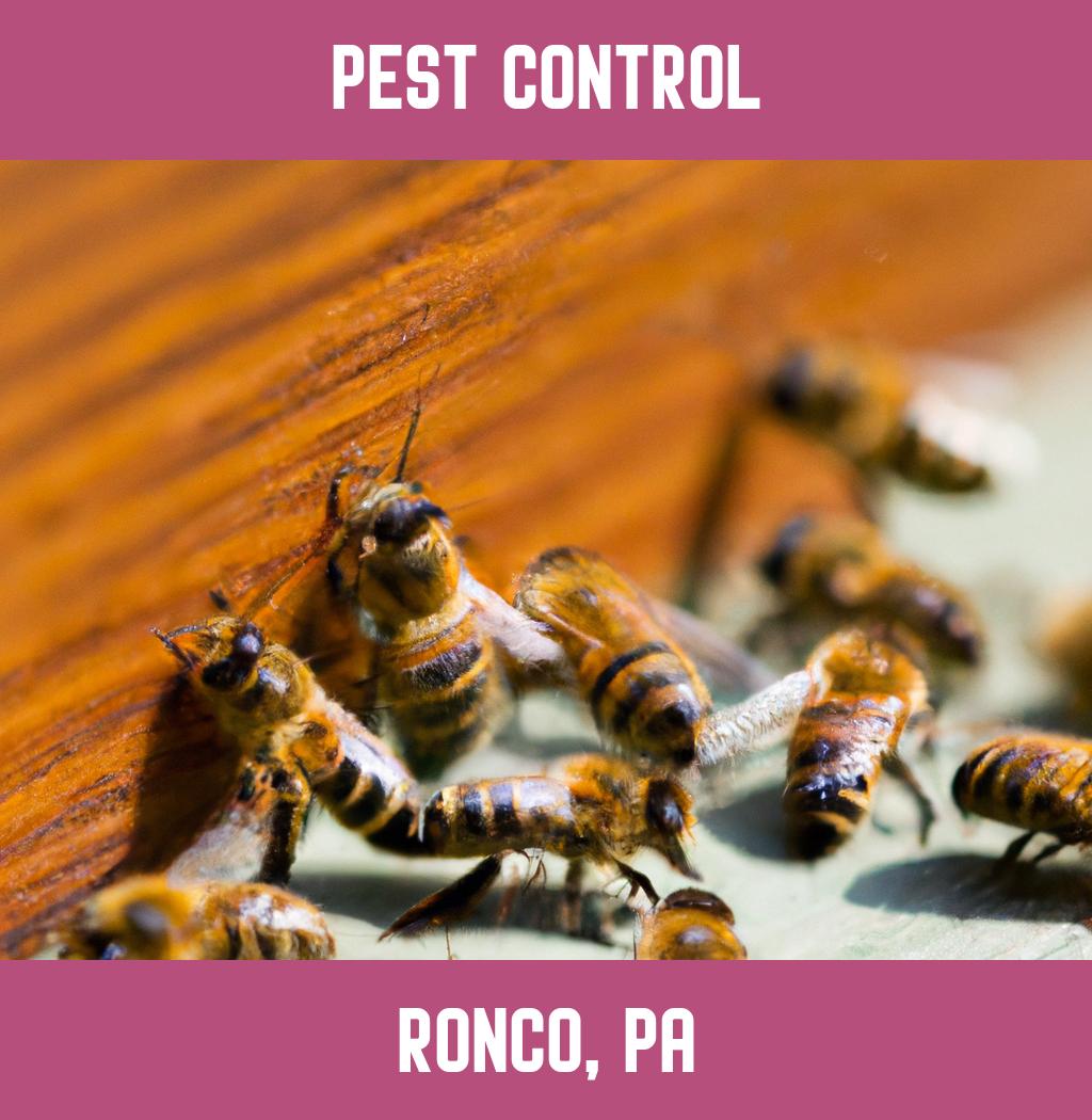 pest control in Ronco Pennsylvania