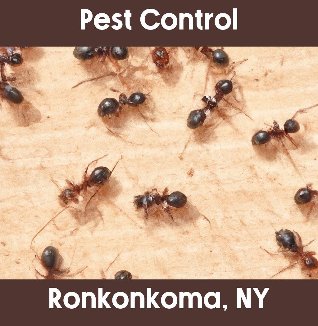 pest control in Ronkonkoma New York