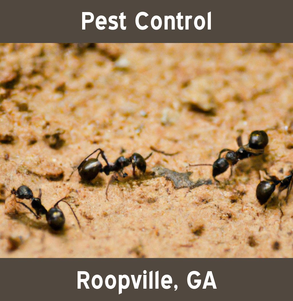 pest control in Roopville Georgia