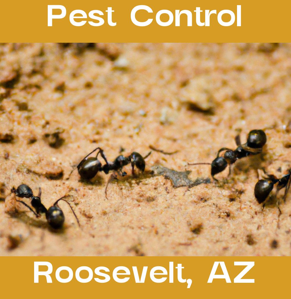 pest control in Roosevelt Arizona