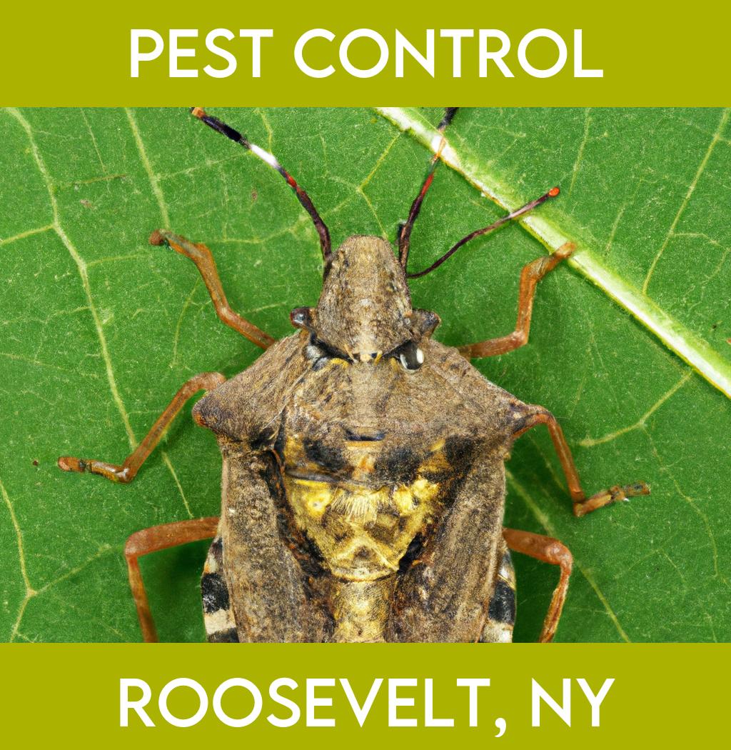pest control in Roosevelt New York
