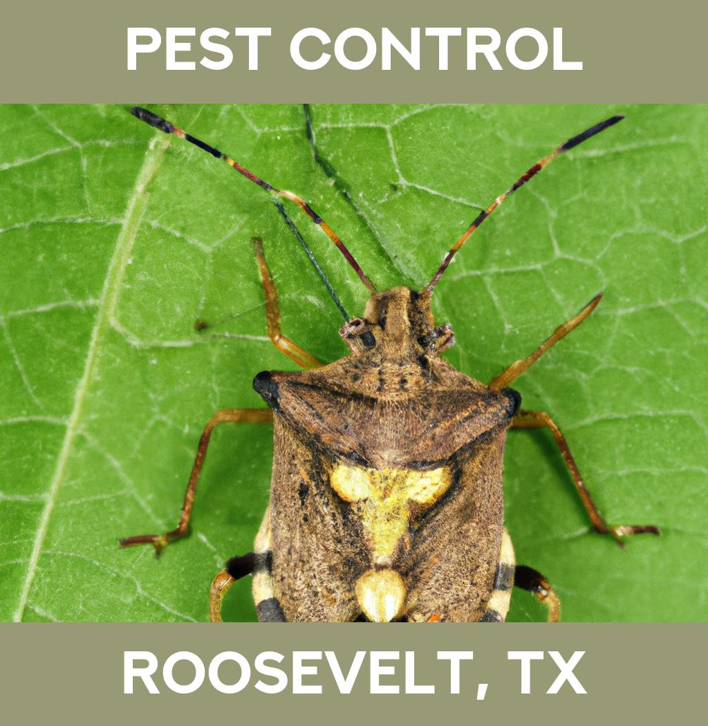 pest control in Roosevelt Texas