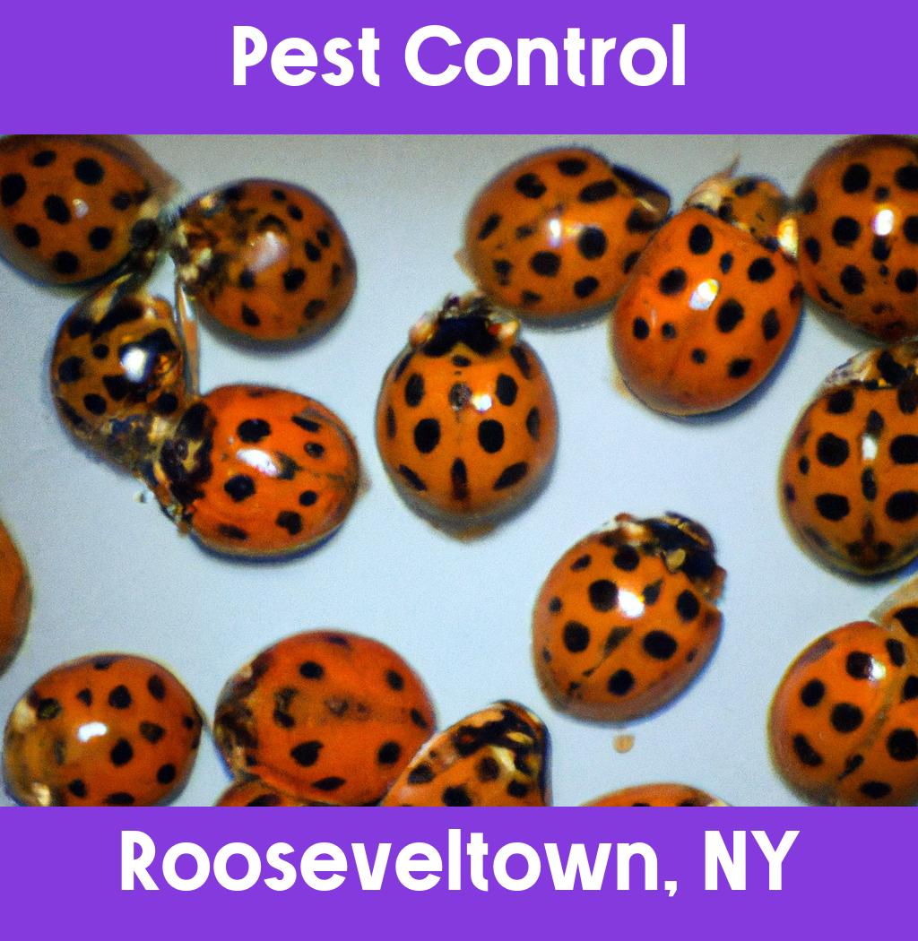 pest control in Rooseveltown New York