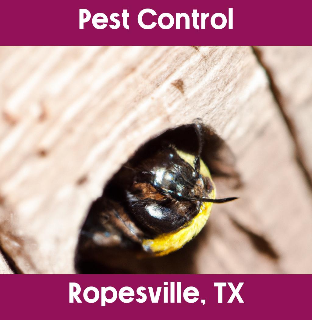 pest control in Ropesville Texas