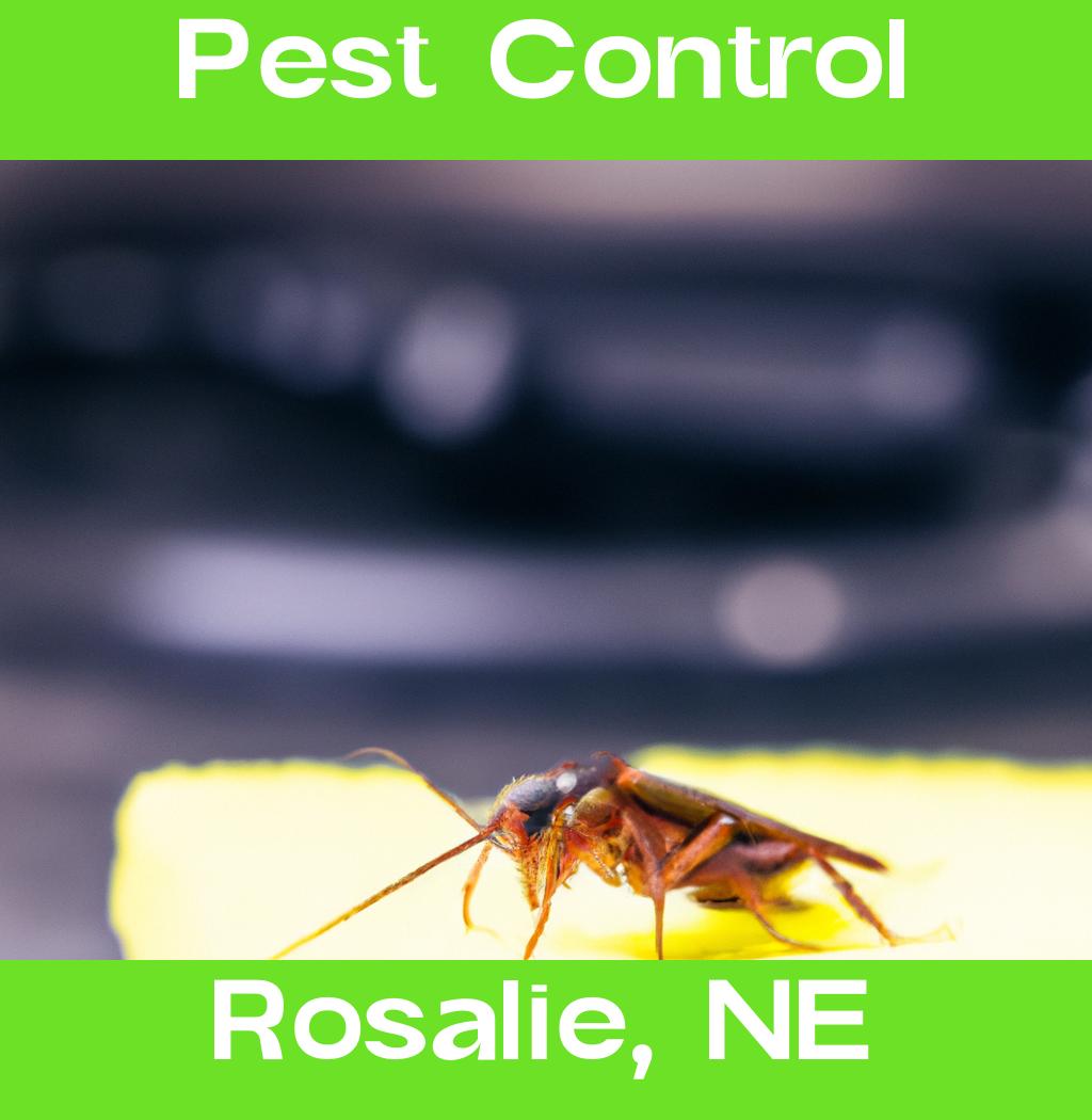 pest control in Rosalie Nebraska