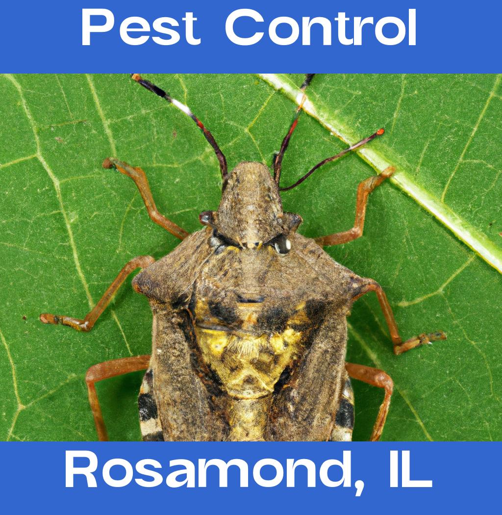 pest control in Rosamond Illinois