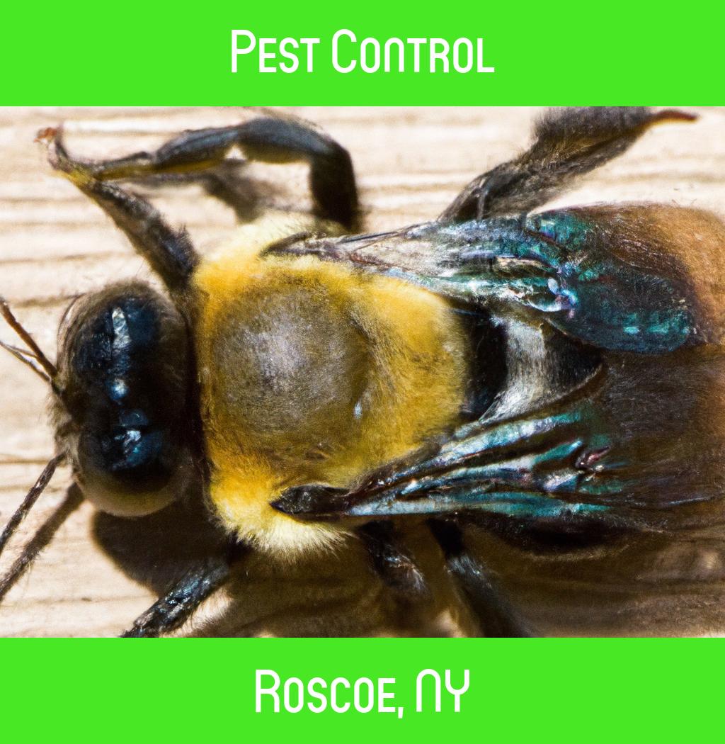 pest control in Roscoe New York