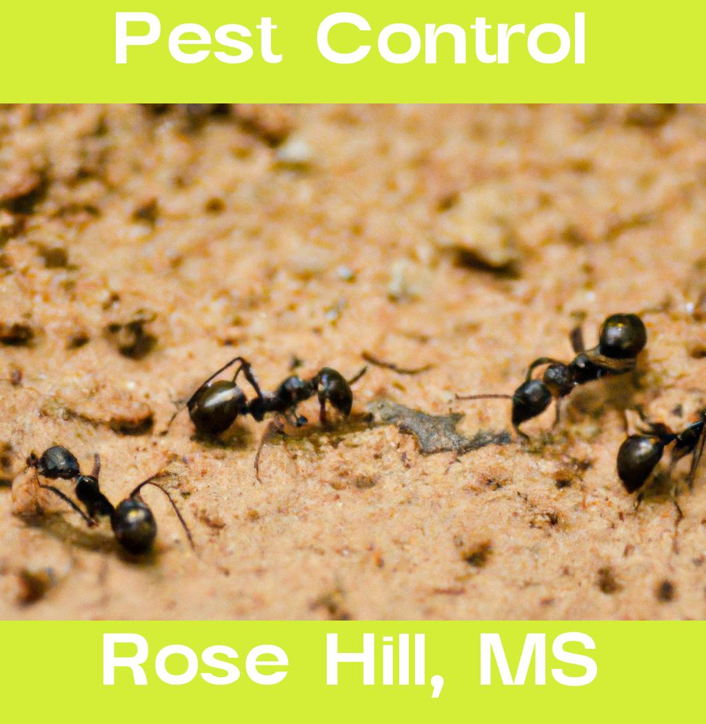 pest control in Rose Hill Mississippi