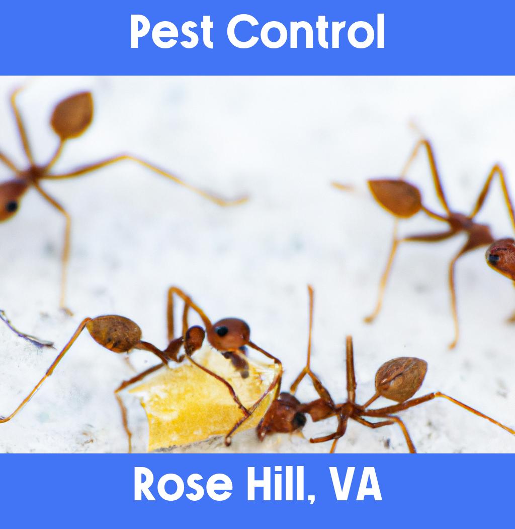 pest control in Rose Hill Virginia