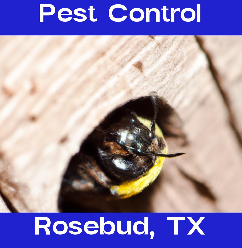 pest control in Rosebud Texas