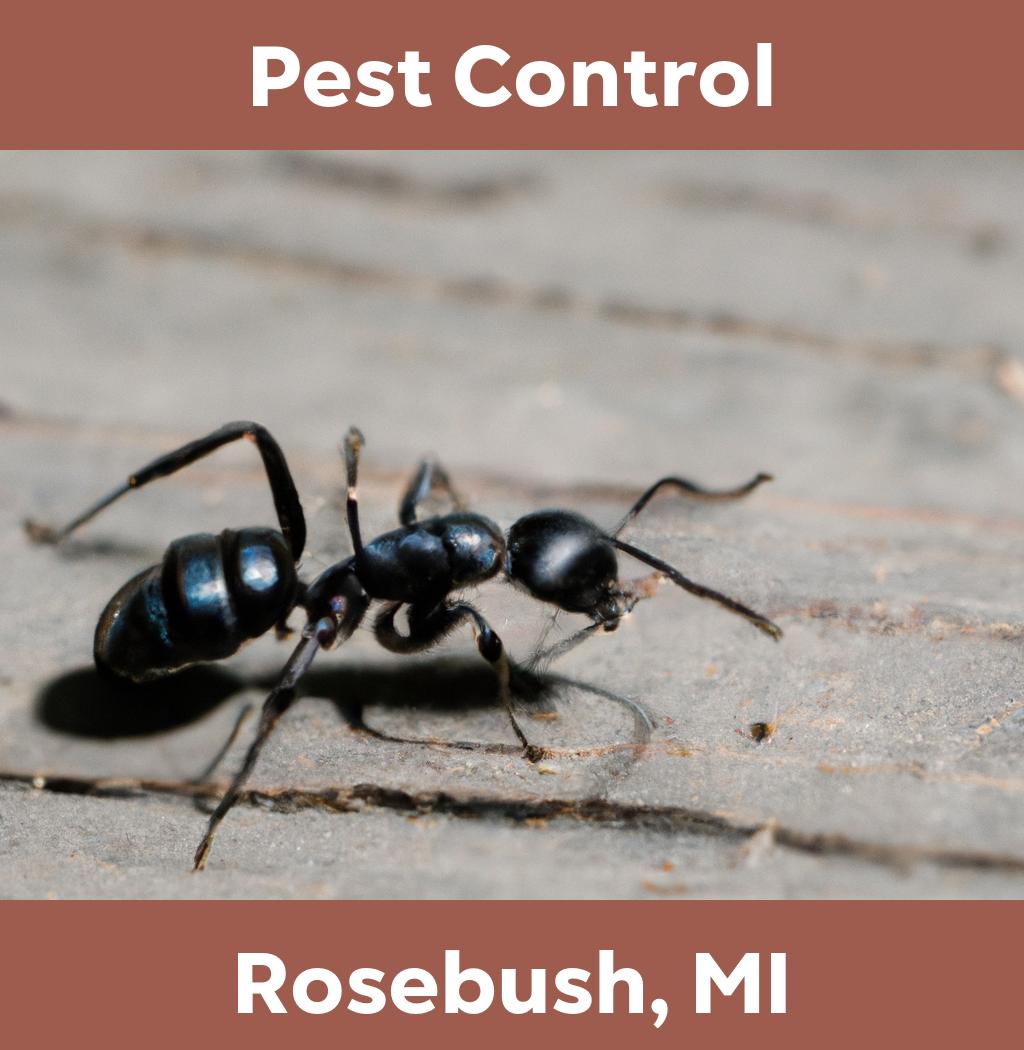 pest control in Rosebush Michigan