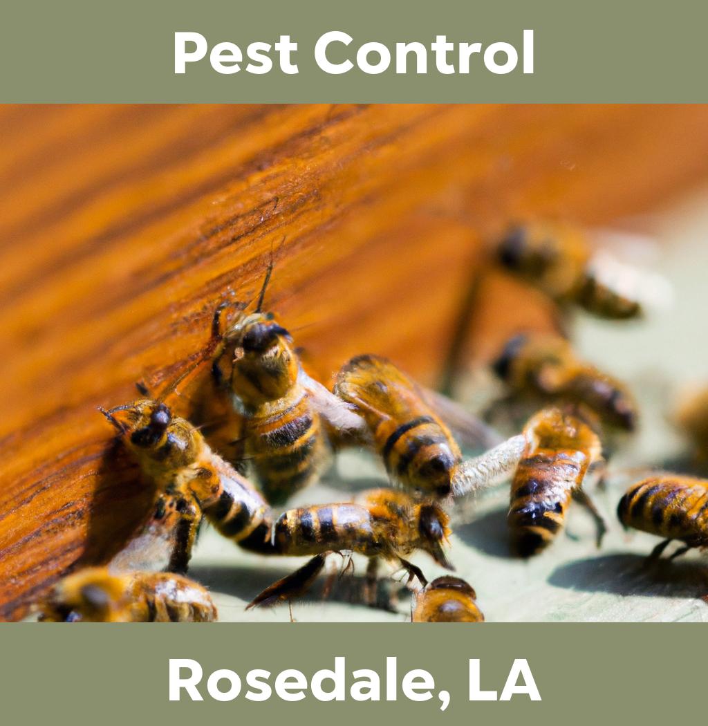 pest control in Rosedale Louisiana
