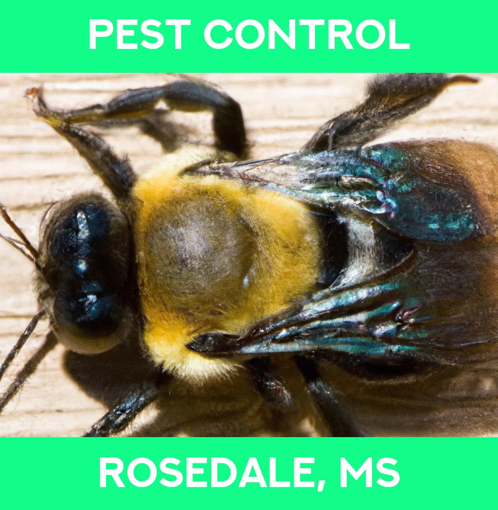 pest control in Rosedale Mississippi