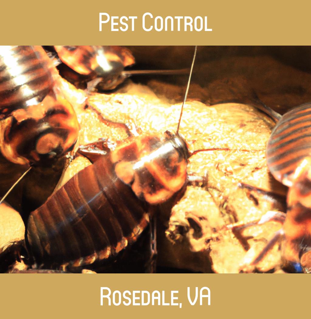 pest control in Rosedale Virginia