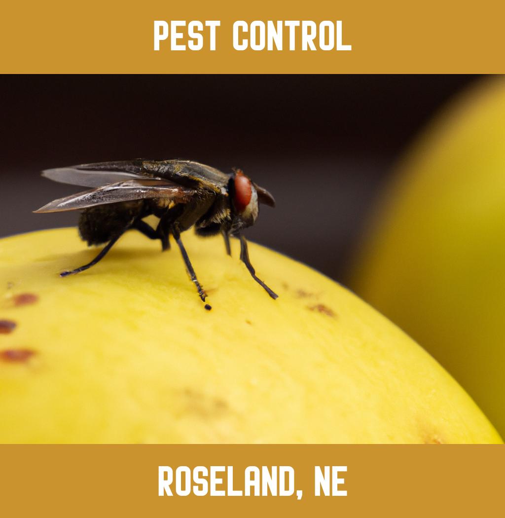 pest control in Roseland Nebraska